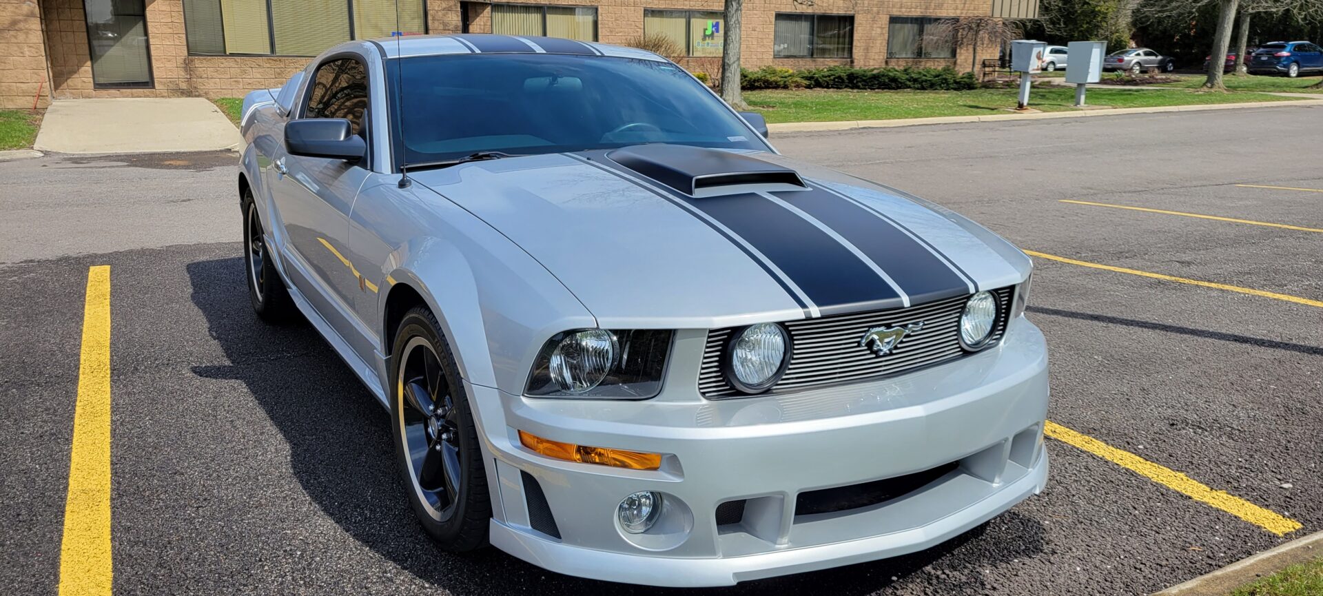 Mustang Stripes